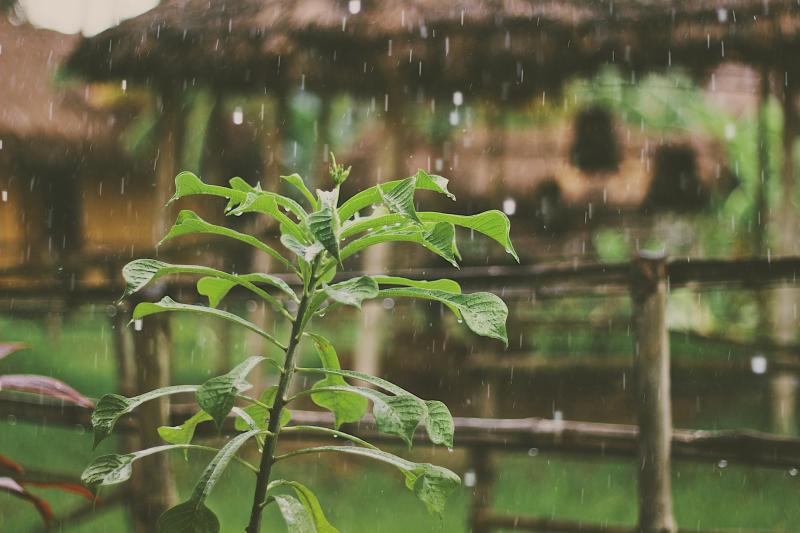 WATERFORD WEATHER: Scattered showers expected today with top temperatures of 18 degrees