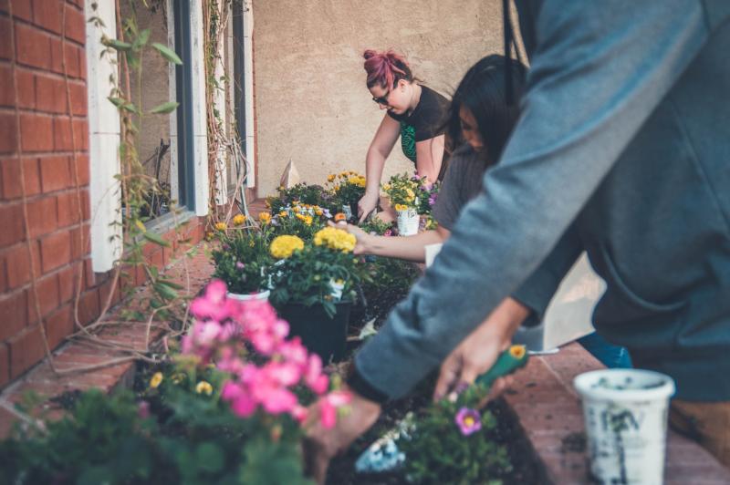 Positive reform to Community Employment schemes to support participants in Waterford 