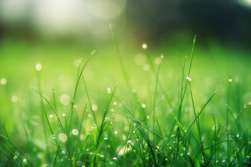 WATERFORD WEATHER: Mix of sunny spells and scattered showers expected for weekend ahead 