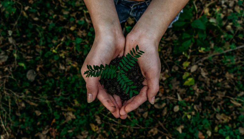 Waterford business owners invited to apply for free sustainability programme