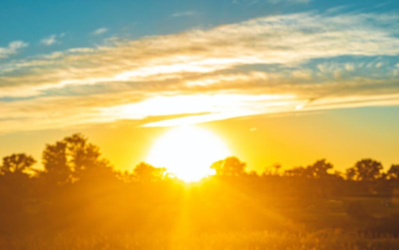 CARLOW WEATHER: Sunny spells on the way as well as some showers 
