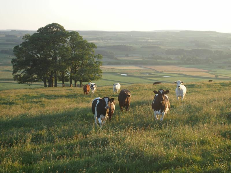 Waterford farmer among team moving from the field to the front line of sustainable dairy