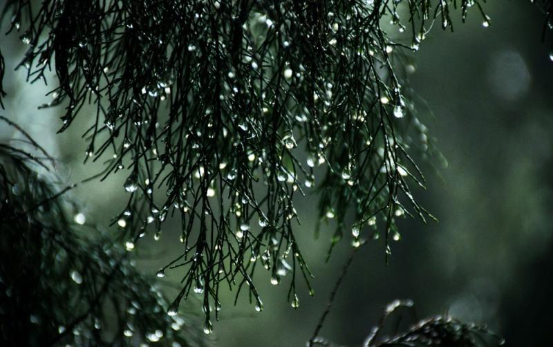 WATERFORD WEATHER: A wet and windy weekend ahead as status yellow rainfall warning issued