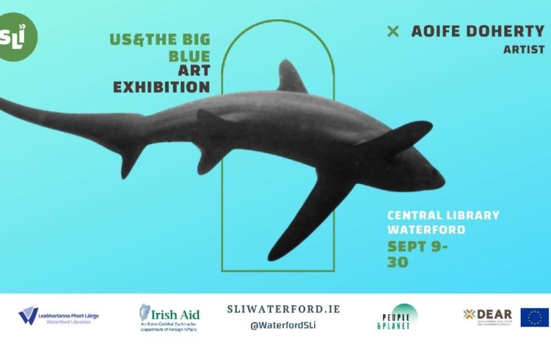 'Us & The Big Blue' - Free art exhibition now on display in Waterford Library from local artist