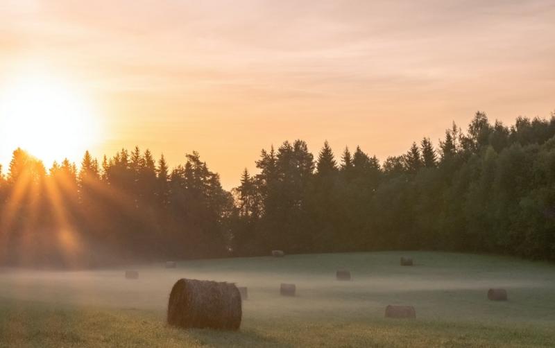 WATERFORD WEATHER: Mainly dry today with some cloud and fog patches possible