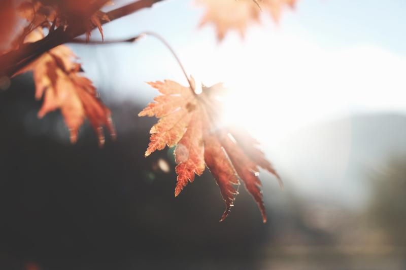 WATERFORD WEATHER: Mainly dry and settled for the weekend turning chilly at times