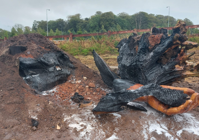 Waterford Gardaí investigate after wooden sculpture set on fire