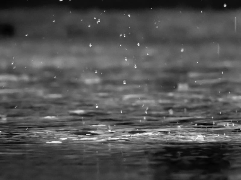 WATERFORD WEATHER: Sunny spells and scattered showers expected today