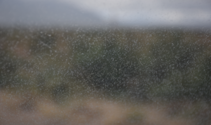 WATERFORD WEATHER: Long dry spells with patchy drizzle