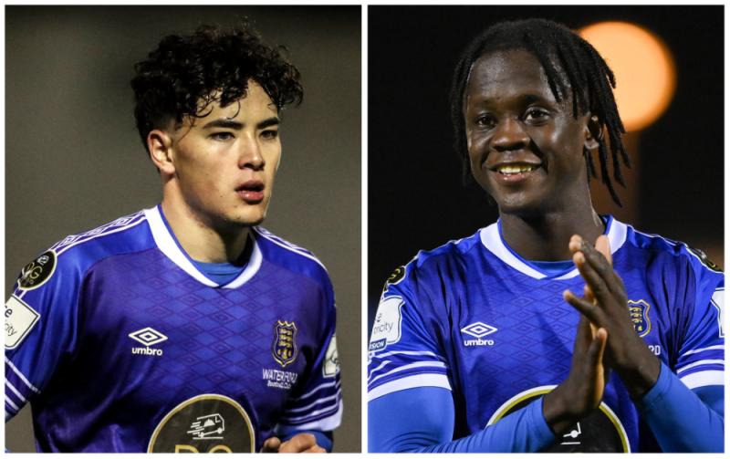 Waterford players named in First Division Team of the Year