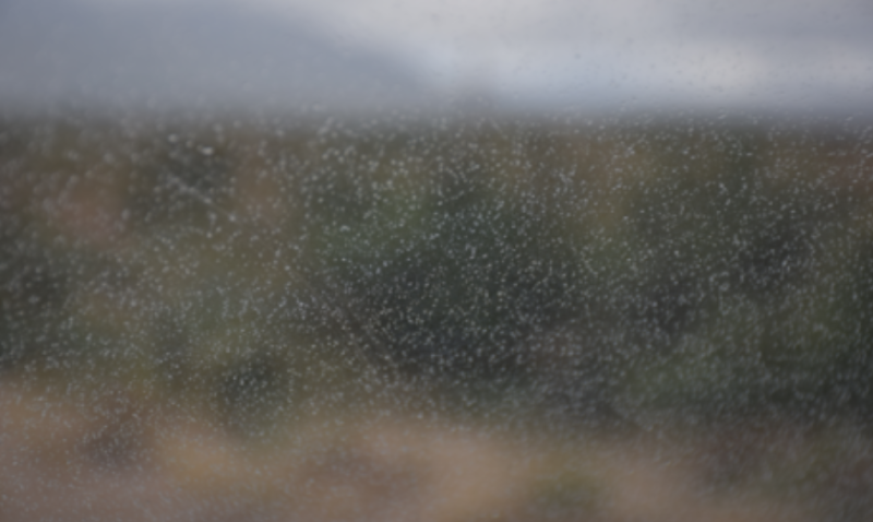 WATERFORD WEATHER: Cloudy with patches of mist and drizzle today (Jan 21)