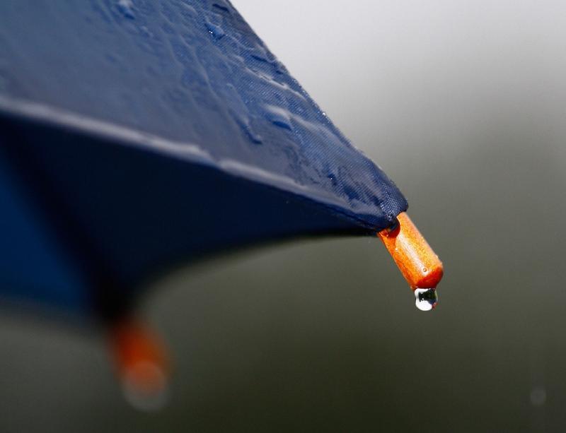 WEATHER: patches of drizzle and sunshine after fog clears 