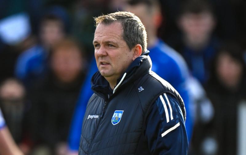 NHL Division 1: Laois v Waterford - where to watch and when