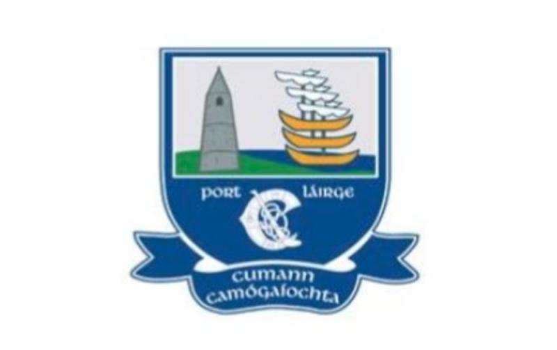 Waterford U-16 camogie panel and management announced for 2023