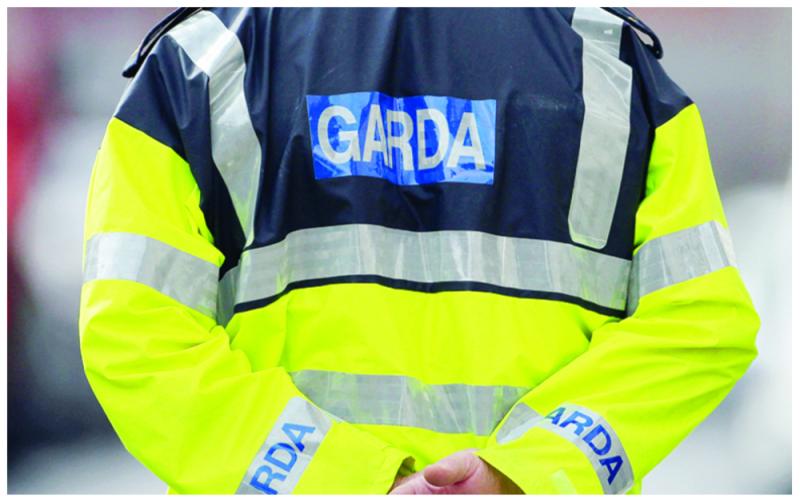 Gardaí in Waterford seek help from public after theft from building site