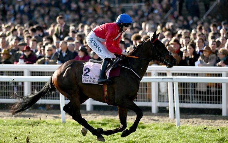 De Bromhead-trained  A Plus Tard included in contenders for Aintree Bowl prize