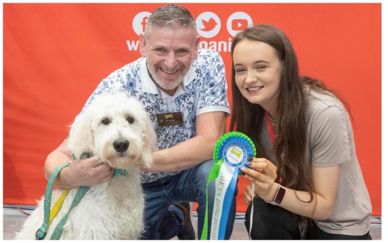 Waterford puppy represents local store at Petmania's Puppy of the Year Competition 2023