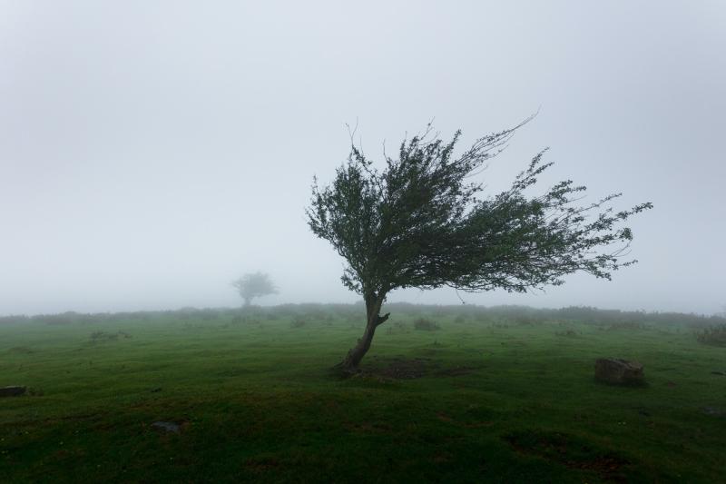 Yellow warning in place for Waterford as Storm Jocelyn makes presence known 