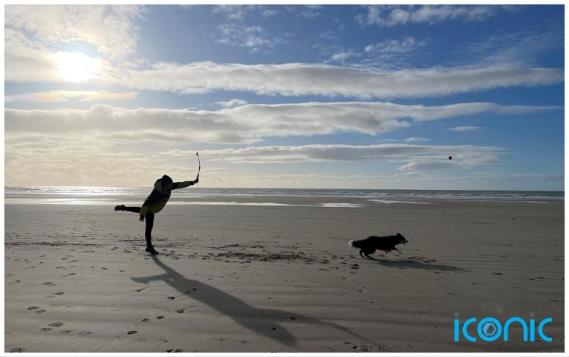 Spending quality time with your dog can cut your stress and anxiety 