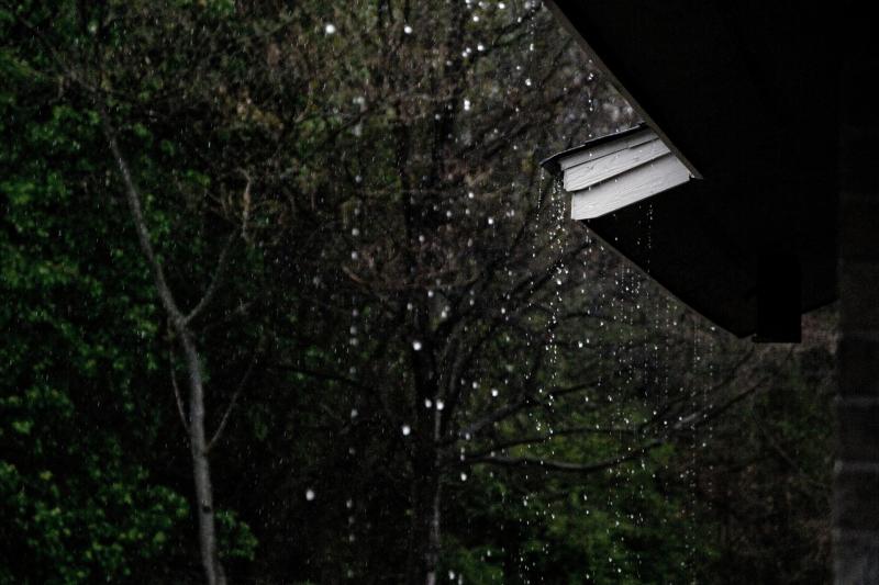 WEATHER: Mild temperatures and heavy rain expected today 