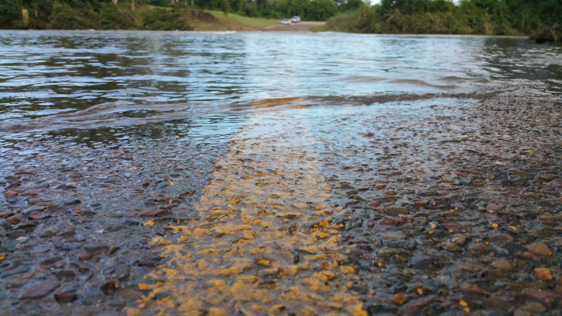 Flooding possible in Waterford as Met Éireann issues Status Yellow rain warning