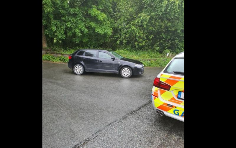 'Stupidity': Garda&iacute; deal learner driver fines and court date for no tax or insurance