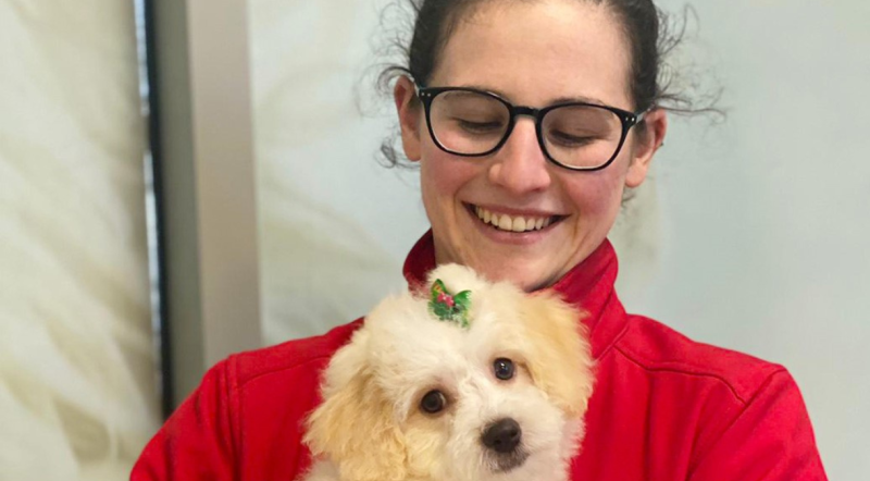 Paw-tastic news! Dog training classes are back at Petmania Waterford