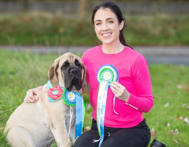 Waterford's best pups to be celebrated at 9th Petmania's Puppy of the Year Awards