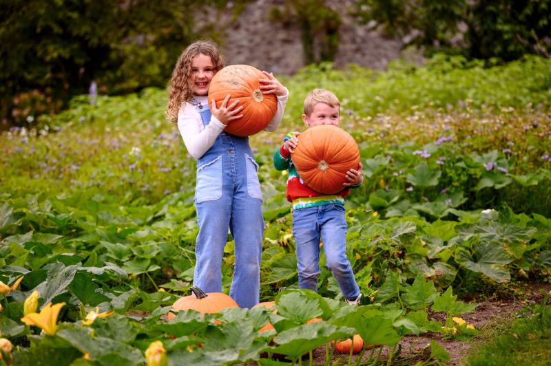 Halloween trail for families at Waterford's Mount Congreve Gardens