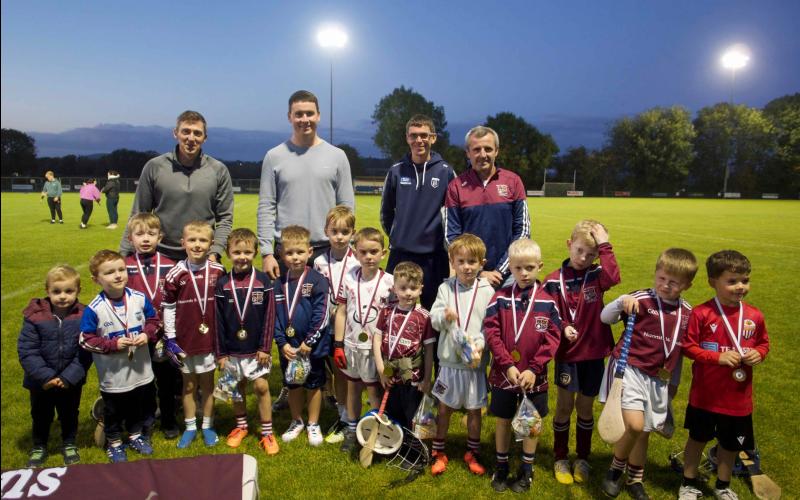 Waterford county star Conor Prunty makes special appearance at GAA club celebration 