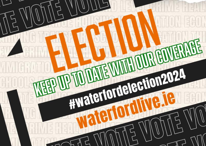 CONFIRMED: Fifteen candidates to contest General Election in Waterford constituency