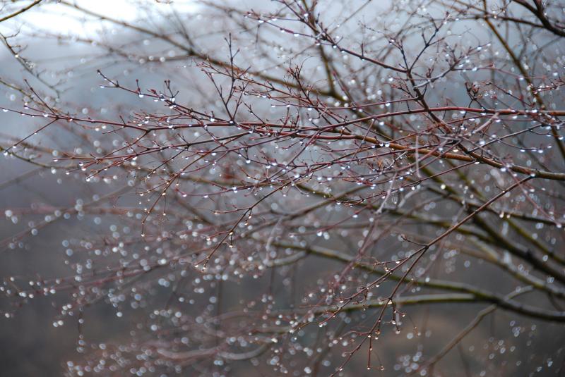 WEATHER: A cold wet and wintry week set for Waterford