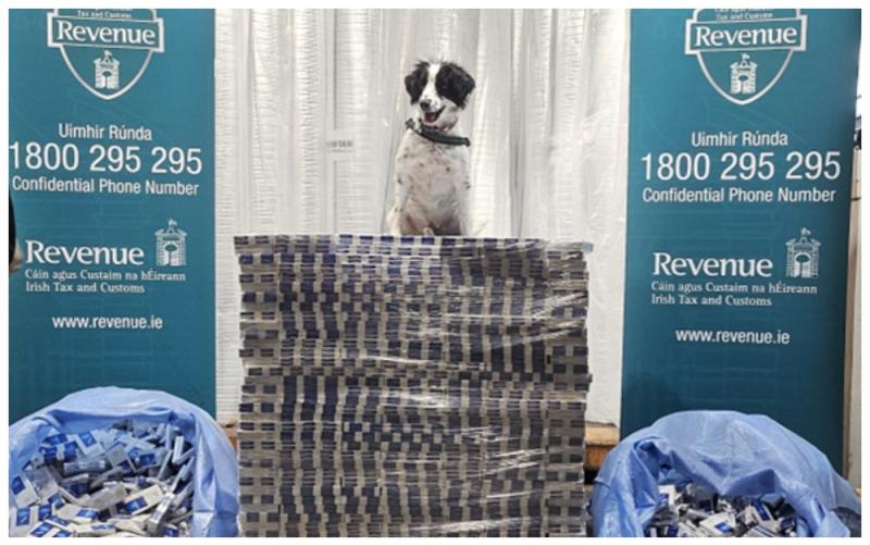 Revenue detector dog smokes out almost &euro;7m worth of illegal cigarettes at Irish port