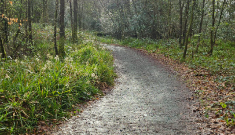 Popular walking trail in Waterford to close for 'essential' works in the coming weeks 
