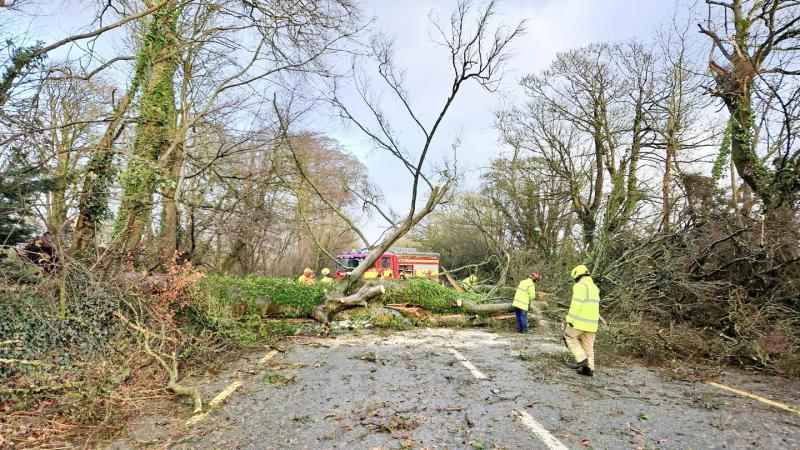 Waterford among the lowest applicants for humanitarian aid following Storm Éowyn