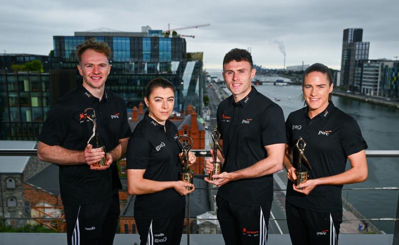 Waterford captain scoops national award to be crowned GPA Player of the Month