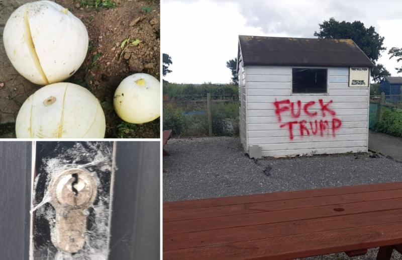 'F**k Trump' - Bizarre graffiti and vandalism at allotments in Waterford
