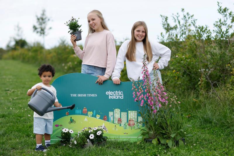 Waterford community project makes longlist for Ireland’s Greenest Community 2025