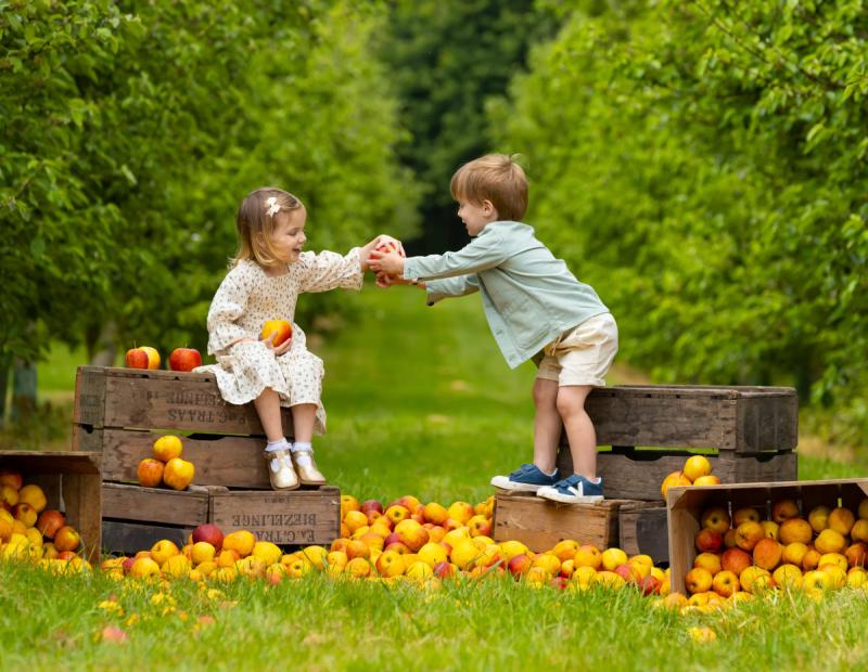 Harvest Festival 2025: Five fun things for kids and families to do in Waterford this weekend