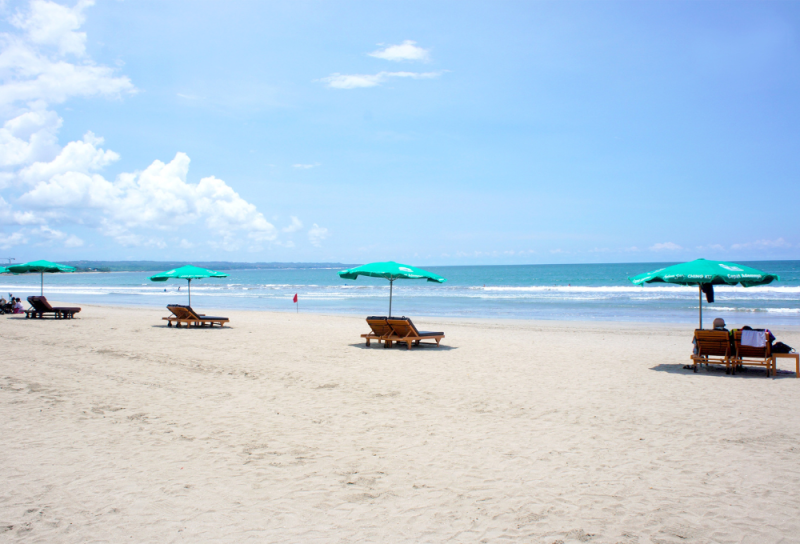 'Really disturbing, piles of rubbish, and animal cruelty' - Is Bali really a tropical paradise?