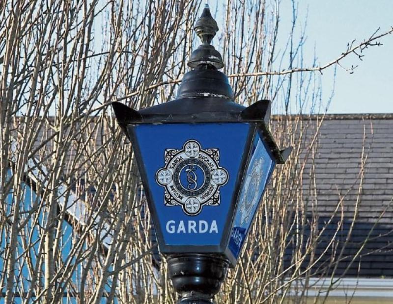 Garda&iacute; in Waterford seek help in identifying 'two youths' following criminal damage incidents