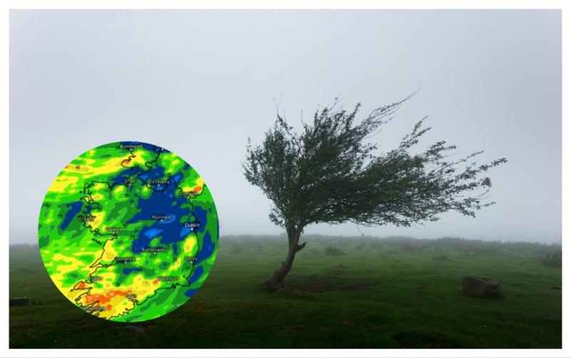 Torrential conditions forecast for weekend ahead as Waterford hit with weather warning