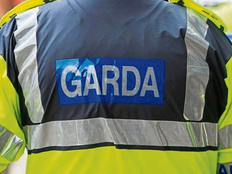 Waterford Gardaí appeal for information after child's hovercraft stolen from house