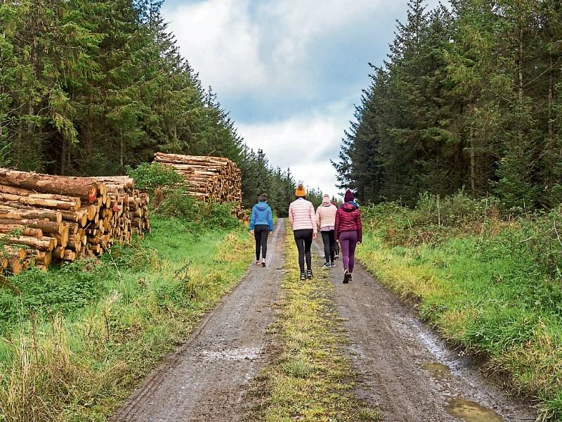  'Humans are a social species' - Irish mental health charity urges people to go outside