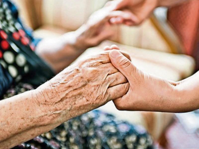 Waterford research shows key role diet plays in Alzheimer's disease 