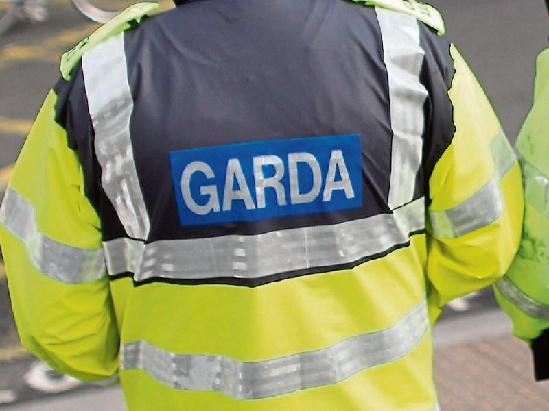 Man who demanded to speak to an 'Irish' guard in Mayo fined €300