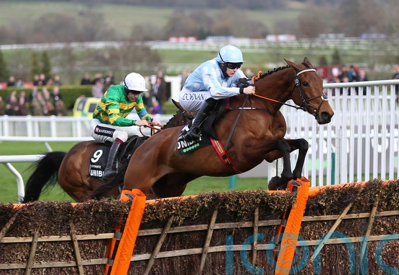 Waterford trainer De Bromhead aiming all his heavyweights at Punchestown