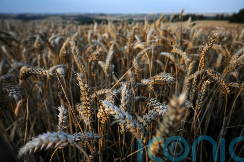 Waterford farmers urged to grow more crops in response to Ukraine war