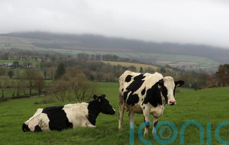 ‘Significant’ price hikes faced by Irish dairy, meat and grain producers in Waterford