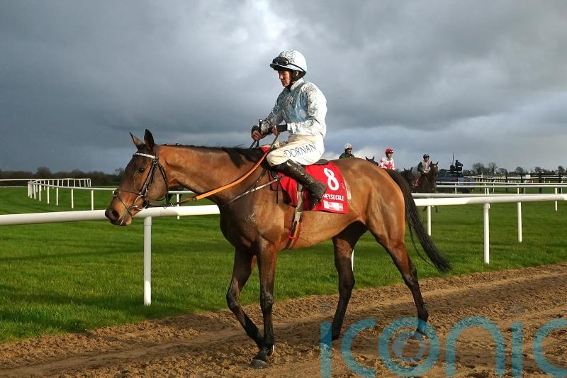 Waterford trainer de Bromhead admits Honeysuckle defeat was 'always going to happen someday'